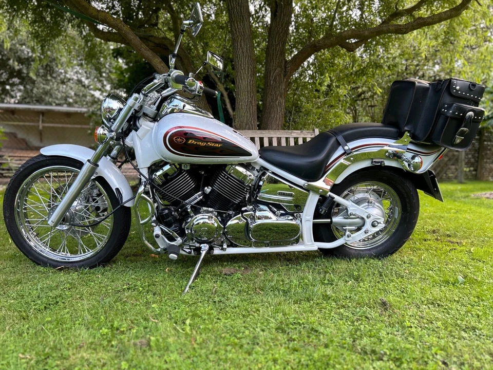 Yamaha XVS 650 Drag Star / weiß / Sondermodell limitiert 7200 km - Bild 3 von 4