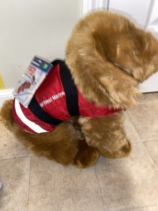 west marine dog life jacket