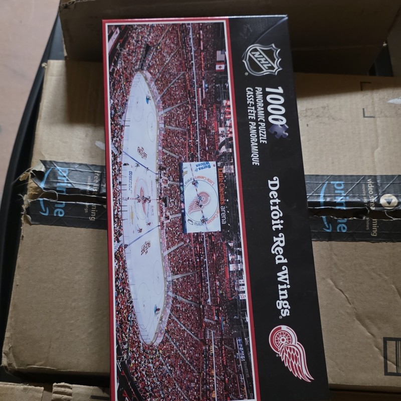 NEW NHL Detroit Red Wings Panoramic Puzzle 1000 Piece  Little Caesars Area 