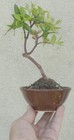 Picture 4 of 6