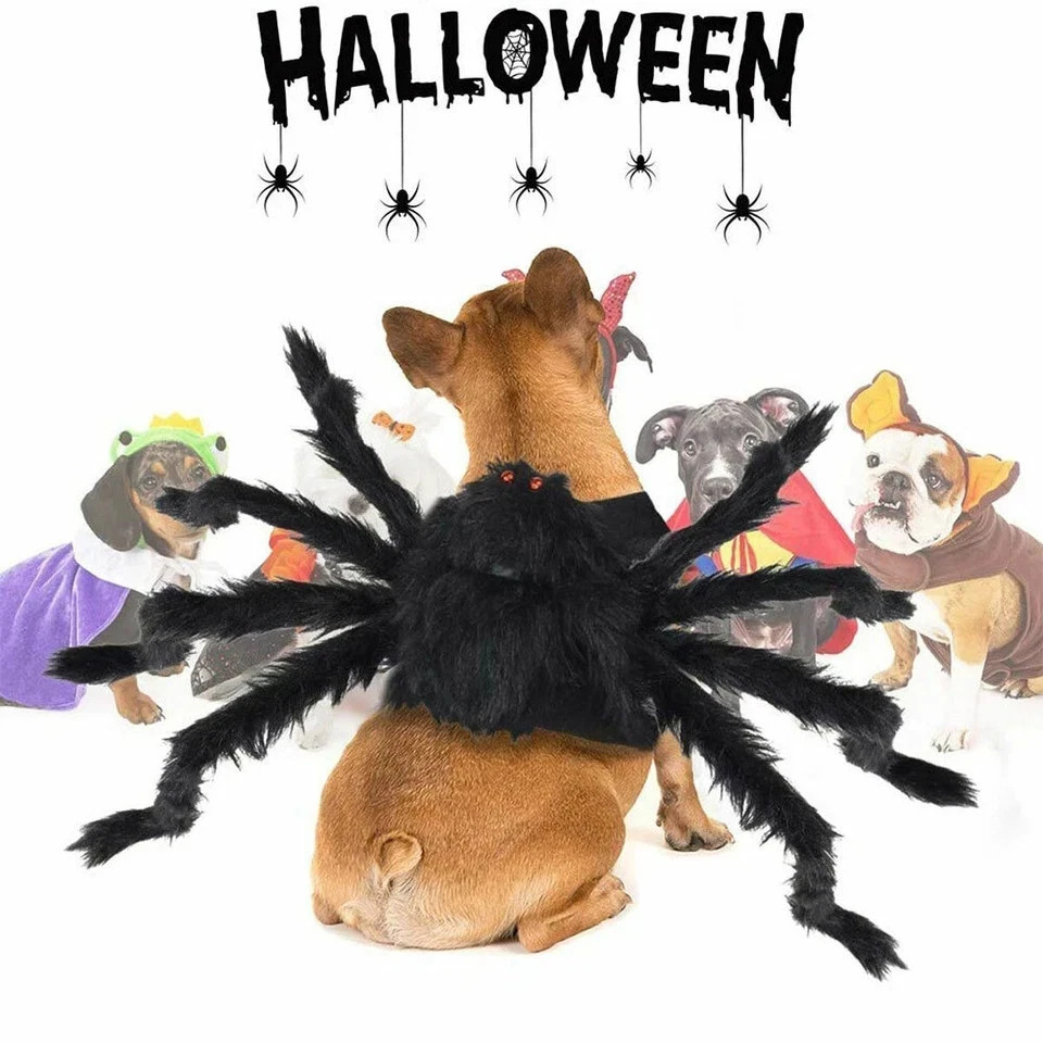 Compre 1 y obtenga 1 gratis Disfraz de Araña de Halloween Perro Gato Cachorro Mascota Disfraz Juegos con disfraces