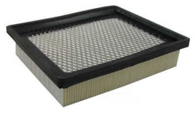 Air Filter Pentius PAB4383