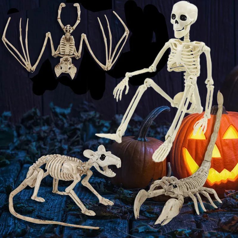 Skeleton Rat Halloween Items Unisex Skeleton Rat Halloween Items Unisex