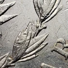 1890-S $1 Morgan Silver Dollar - VAM-28A Die Breaks In Wreaths R-6 - SKU-D6491