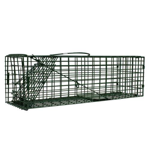 Single Door Rat Chipmunk Squirrel Cage Trap  16" x 5" x  5"  Humane Live Trap - Picture 1 of 2
