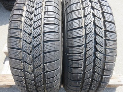 Michelin Agilis 51 Snow-ICE 215 60 R 16 C 103/101T 2x Winterreifen