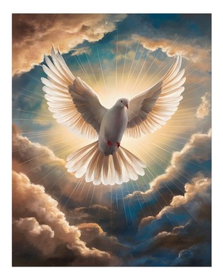 Heavenly Dove Wall Art Inspiring Sky Decoration Inspiration