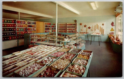 #ad Vintage BARNES SHELL SHOP Sarasota FL Postcard Dexter Press Shellcraft Supplies $10.97