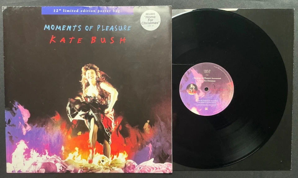 KATE BUSH – MOMENTS OF PLEASURE 12" POSTER BAG HOME FOR CHRISTMAS 1993 A1/B1 VG+ - Image 2 of 4