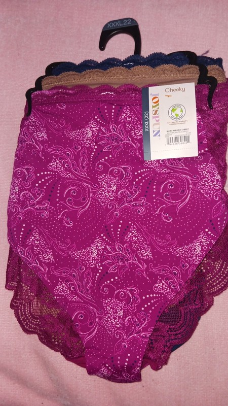 NEW Joyspun ~ 3-Pair Womens Cheeky Underwear Panties Nylon Blend ~ 22-3XL