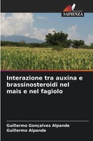 Guillermo GonçAlves Alpande (U. A.) | Interazione Tra Auxina E...