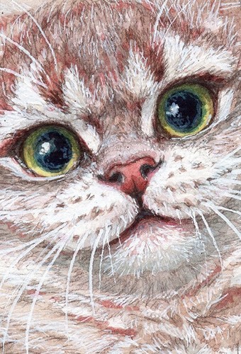 ORIGINAL ACEO Kitten 22-0199  intense glance   artist Svetlana Ledneva-Schukina