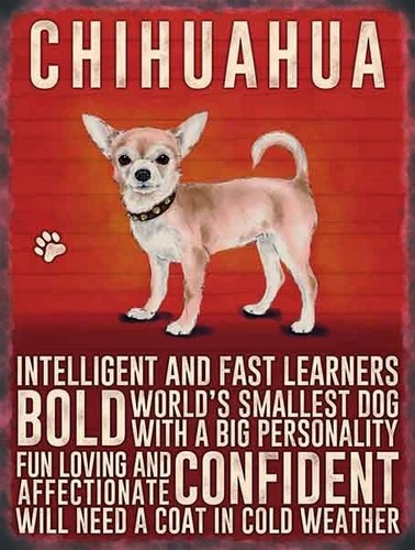 Chihuahua Eigenschaften Kühlschrankmagnet