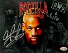 Dennis Rodman Signed METALLIC Photo 8x10  NWO Bulls Worm Autograph HOF JSA HOGAN