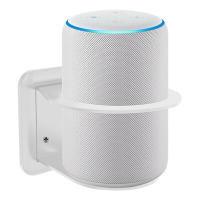 google home echo plus