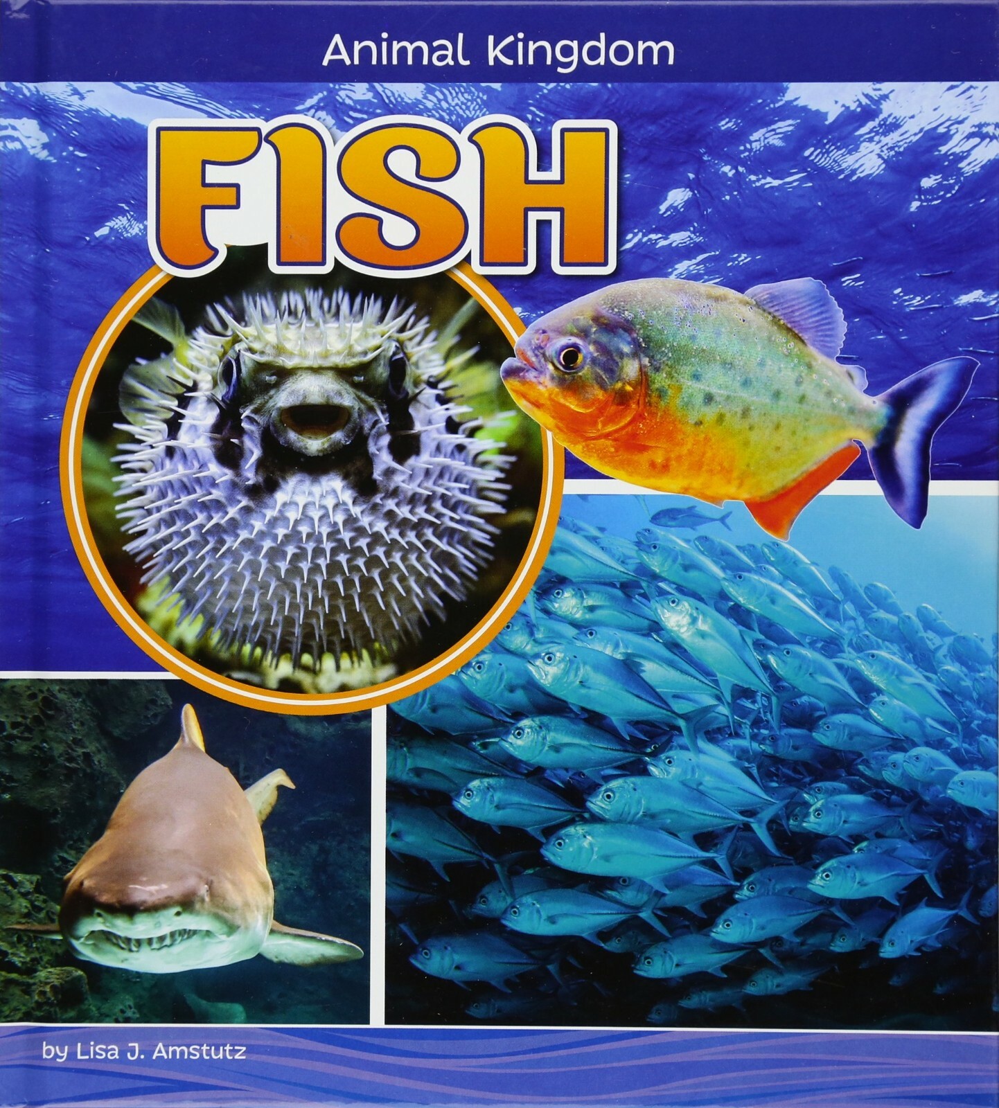 Fish Children's Fact Learning Book age 4-8