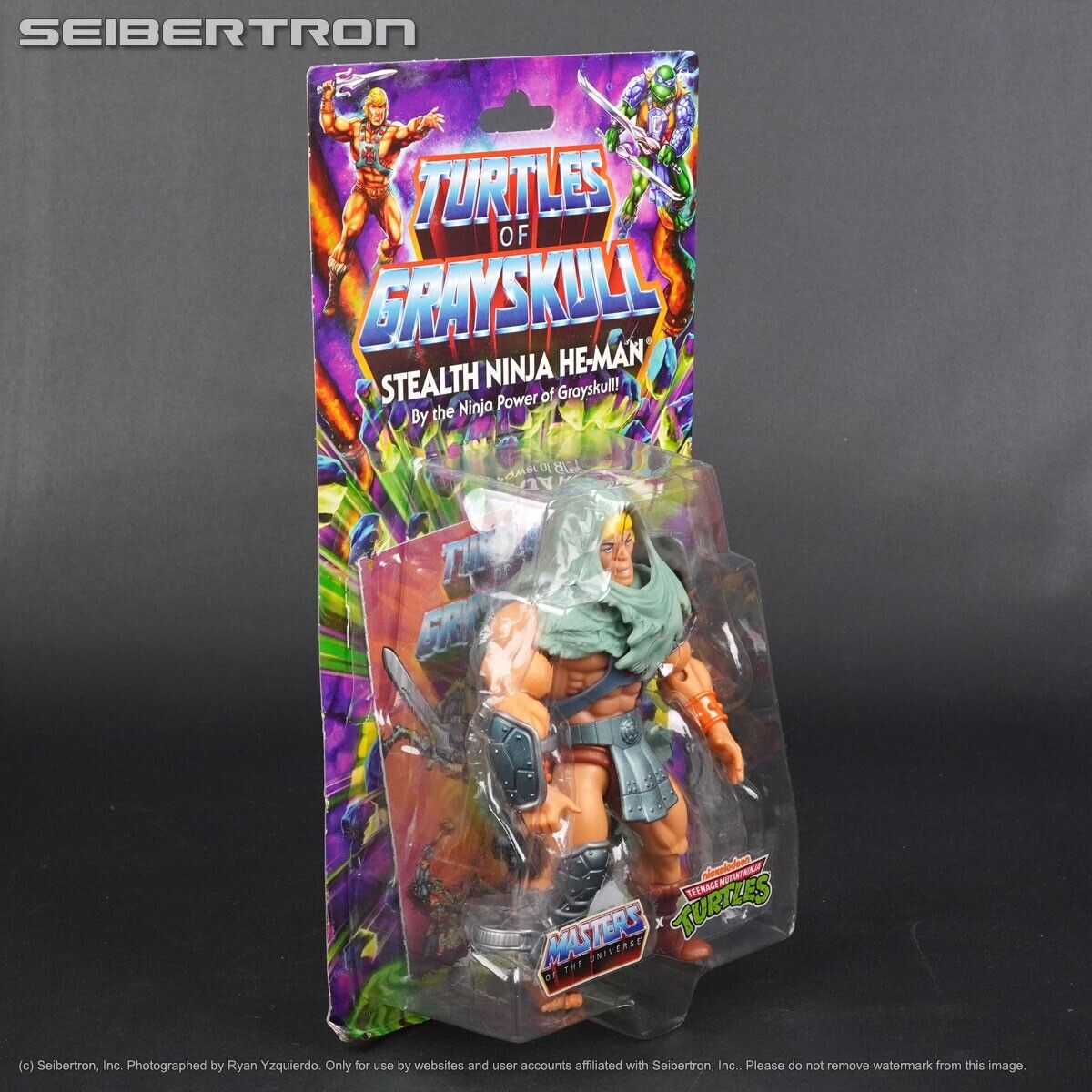 STEALTH NINJA HE-MAN Turtles of Grayskull MOTU + TMNT STEALTH NINJA HE-MAN Turtles of Grayskull MOTU + TMNT