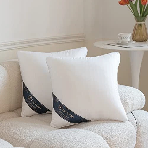 16x16 Pillow Insert Set of 2 for Pillow Stuffing, 2 Count (Pack of 1) 16X16