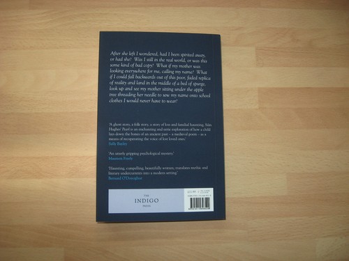 SALE Sian Hughes Pearl 1st printing Booker Prize Longlist PBO debut Indigo Press - Picture 6 of 7