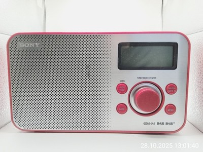 Sony XDR-S60DP DAB RDS Radio Rot
