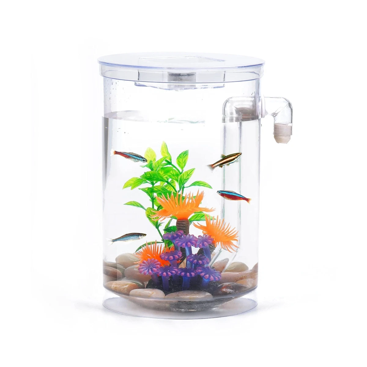 Betta Fish Tank, 360 Aquarium with LED Light, 1 Gallon Fish Bowl, Small Fish