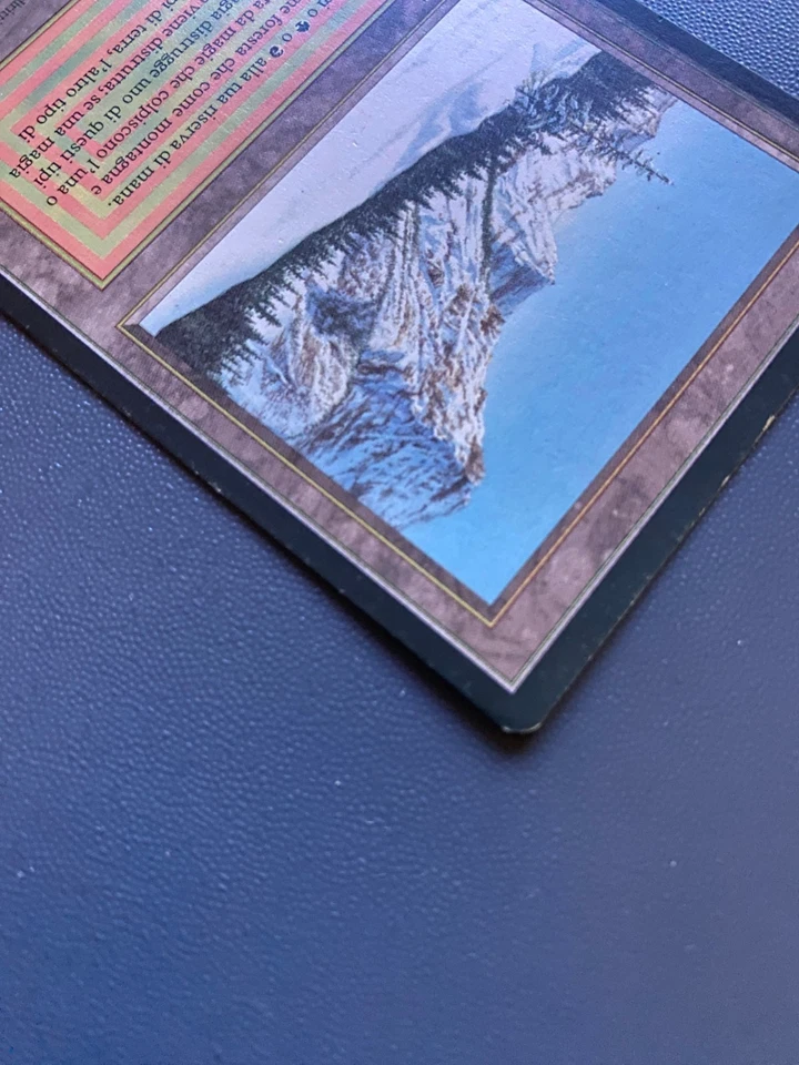 MTG Taiga Foreign Revised Italian Edition - Image 3 of 4