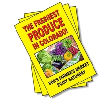 100 Full Color Flyers - Design included - 5 1/2 X 8 1/2" - Free shipping