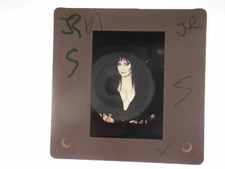 ELVIRA CASSANDRA PETERSON SEXY HORROR HOST GOTH B SLIDE/TRANSPARENCY movie photo