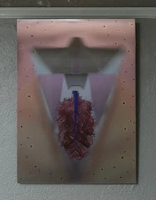 Systemic: Composite Photographic Print on Metal 2017 natural forms and geometric