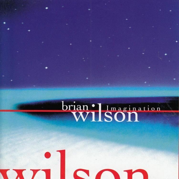 Imagination : Brian Wilson