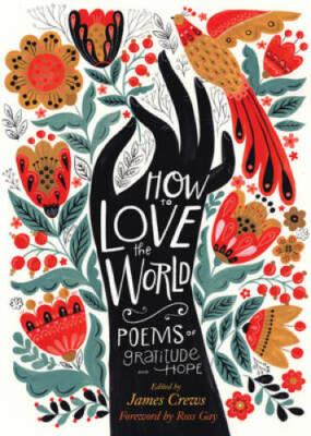How to Love the World: Poems of Gratitude and Hope - Paperback - GOOD