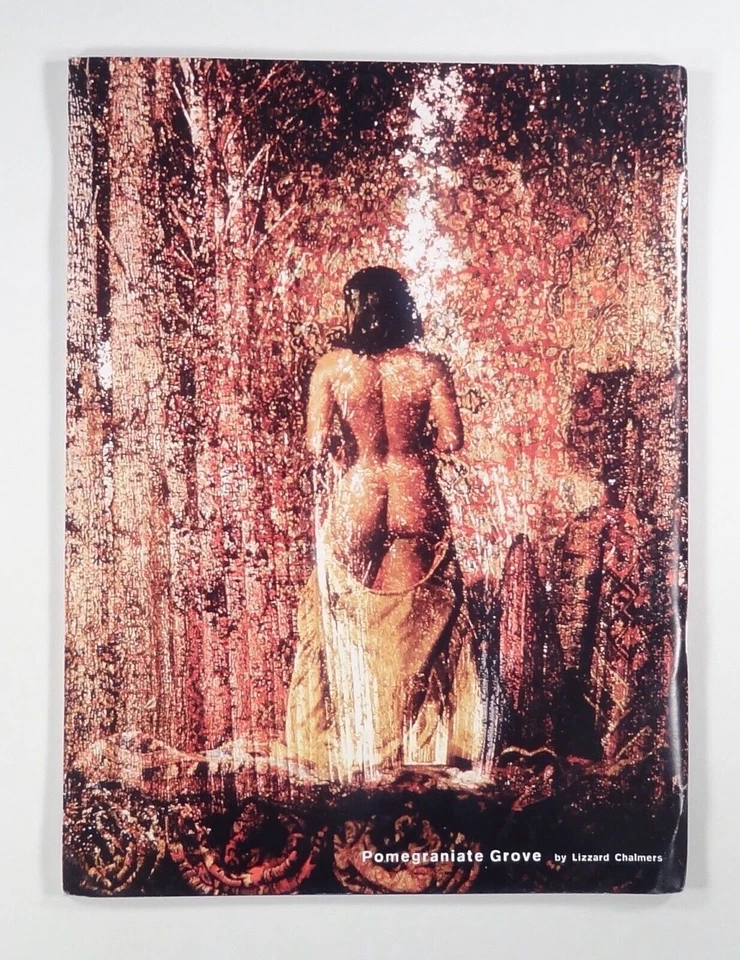 1993 PLAZM #9 grunge zine MUSIC All-Women Design TYPOGRAPHY interviews COMMENT - Image 2 of 4