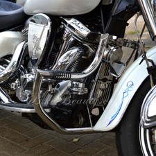 Yamaha XV1600 Road Star Wildstar Highway Paramotore Protezione Motore Inox W Del