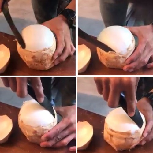 Coconut Tool Opener Buffalo Horn Knife Natural Removal Whole Meat With Juice - Picture 11 of 12