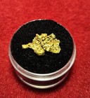 California Natural Gold Nugget  3.2  Grams in a Gem jar w/lid — photo 1