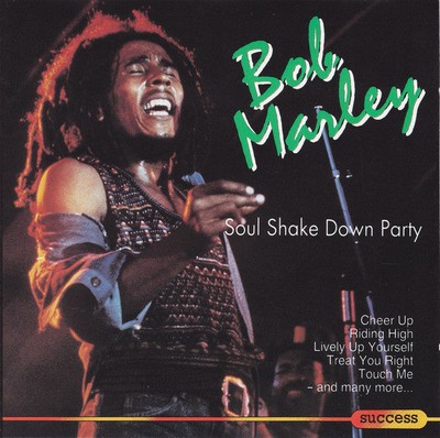 Bob Marley - Soul Shake Down Party