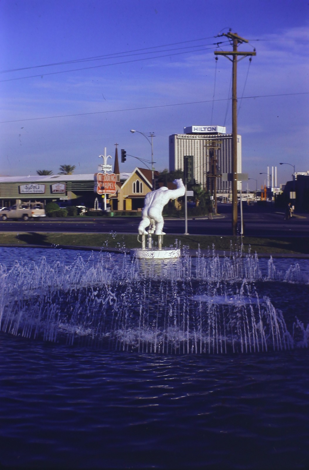 1976 Las Vegas Nevada white gorilla Hilton 35mm Kodachrome slide photo