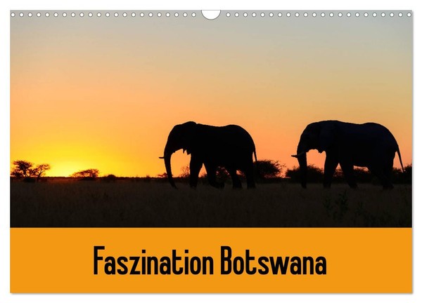 "Calendar 2027 · US Version · Faszination Botswana (Wall Calendar 2027 17\" × 12\""-image