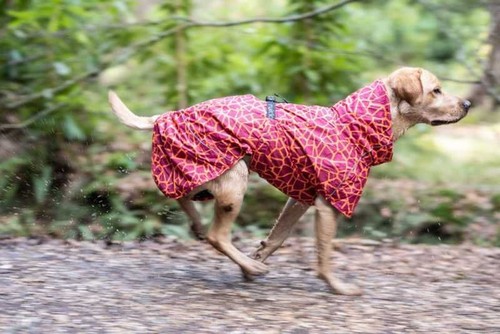 Rukka Pets Dog & Puppy Clothing - Hayton Warm Coat Waterproof Jacket - Picture 10 of 32
