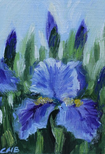 ACEO Original Oil Painting Irises Collectible Card 2.5"x3.5" Miniature Artwork
