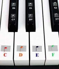 QMG Color Piano Keyboard Music Note Full Set Stickers for White and Black Keys