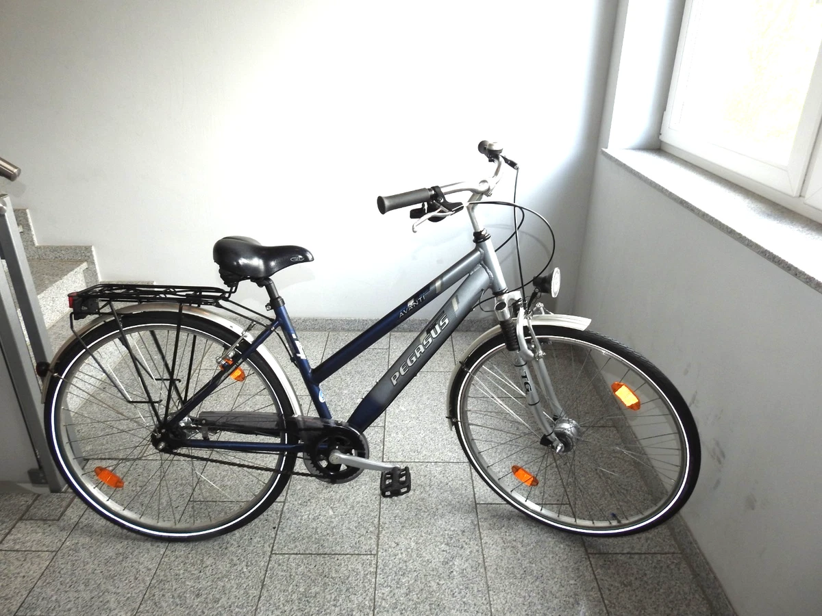 Pegasus Fahrrder mit 28 Zoll Herren online kaufen | eBay.de