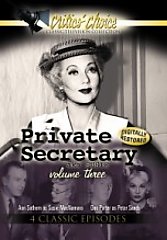 Private Secretary - V. 3 (DVD, 2008)