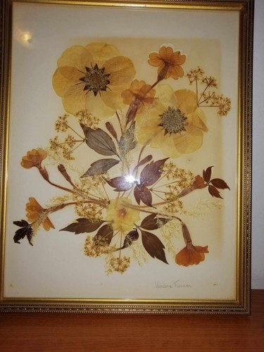 Vintage gerahmt gepresst getrocknet trockene Blumen Bild signiertes Kunstwerk Viviane Turner