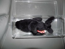 TY BEANIE BABY SPLASH THE WHALE PVC PELLETS IN PLASTIC CASE NEW 