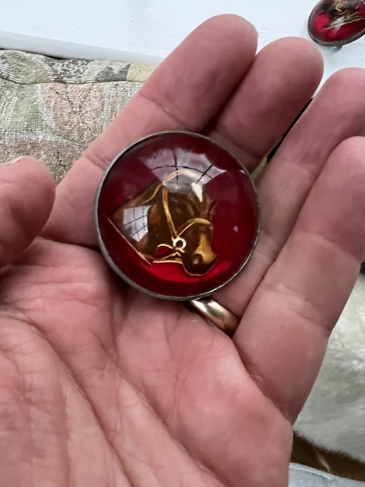 Vintage CHAPMAN HORSE BRIDLE ROSSETTES INSTITUTO TECNOLÓGICO DE CHINÁ