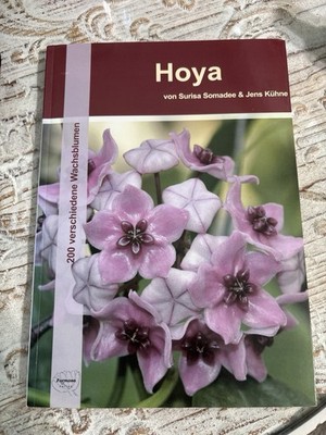 Buch: Hoya 200 verschiedene Wachsblumen von Surisa Somadee & Jens Kühne