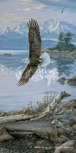 Lee Kromschroeder Dawn's Call - Soaring Eagle