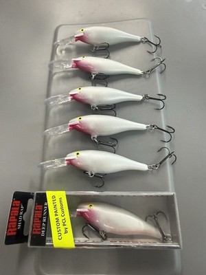 Rapala Shad Rap 8 Deep Runner Crankbait (6) In Lot Custom Painted