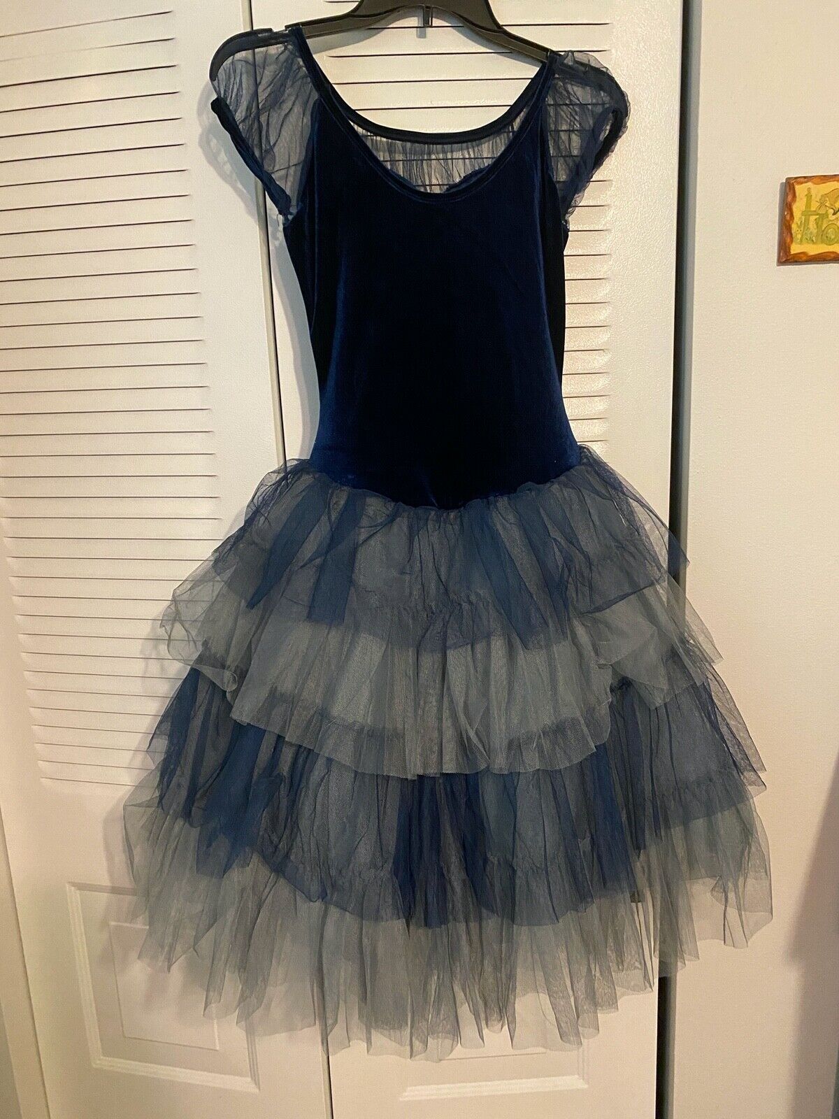 BEAUTIFUL BALLET COSTUME SIZE ADULT SMALL - image 3